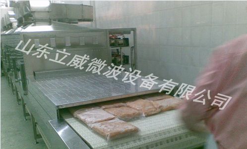微波解冻设备