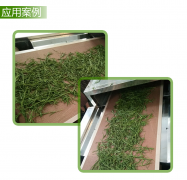 茶叶微波杀青烘干工艺